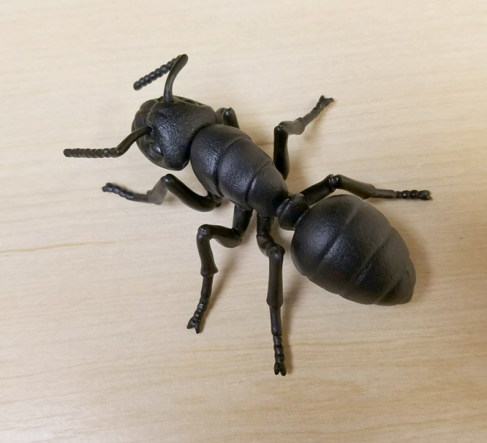Ant japanese takara carpenter tomy insects topic Ant japanese takara carpenter tomy insects topic